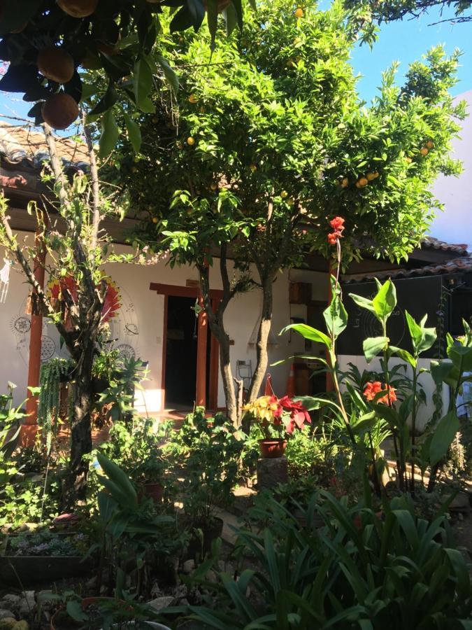 La Chulada Hostel San Cristobal de las Casas Exterior photo
